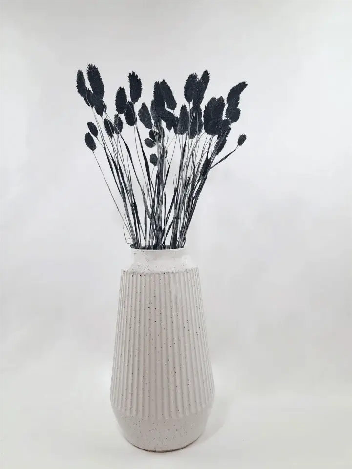Trockenblume Phalaris schwarz - somedayz - kikeriki GmbH