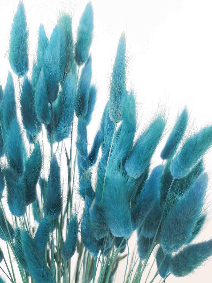 Trockenblume Lagurus petrolblau - somedayz