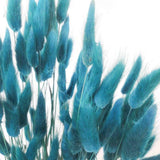 Trockenblume Lagurus petrolblau - somedayz