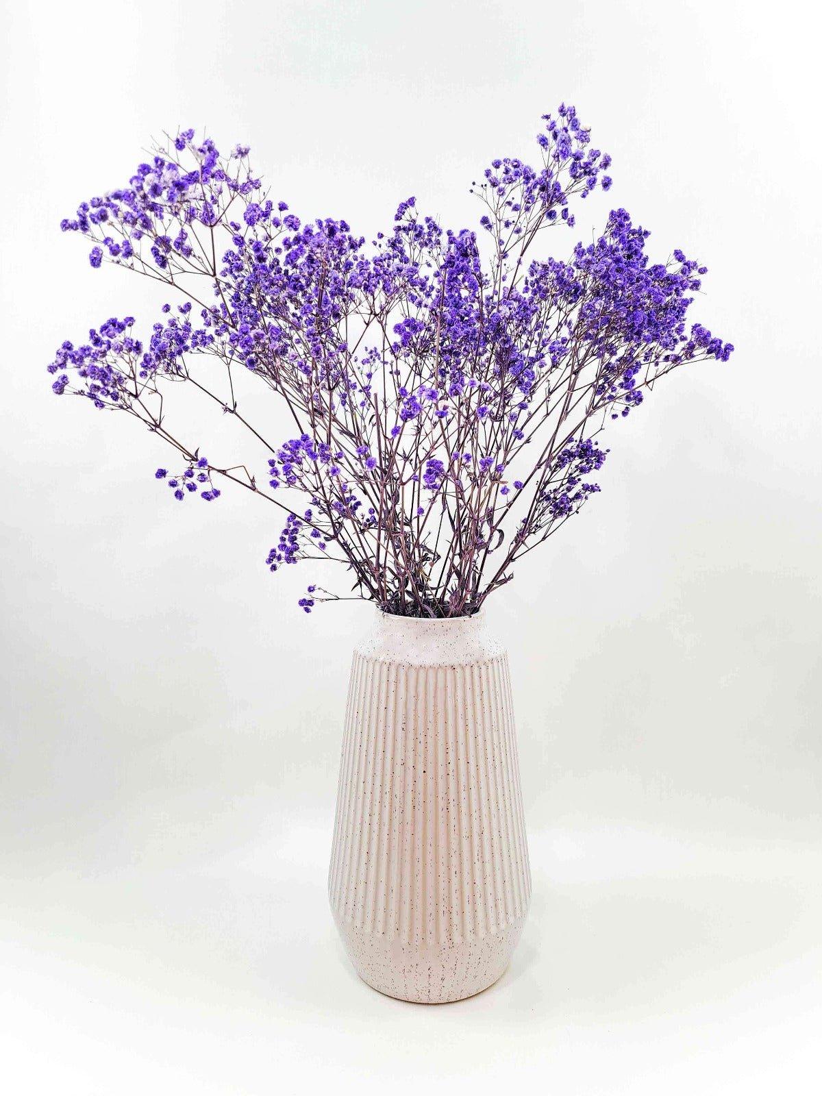 Trockenblume Schleierkraut lila - Mein Shop