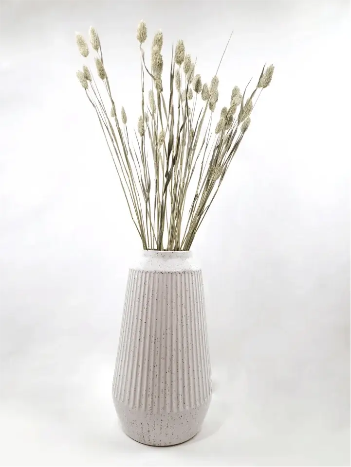 Trockenblume Phalaris natur - somedayz - kikeriki GmbH