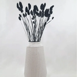 Trockenblume Phalaris schwarz - somedayz - kikeriki GmbH