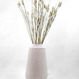 Phalaris Trockenblume - natur - somedayz - kikeriki GmbH