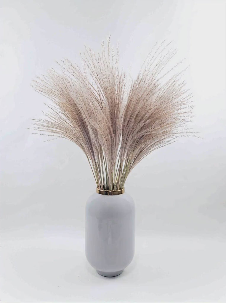Trockenblumen kaufen - Federgras