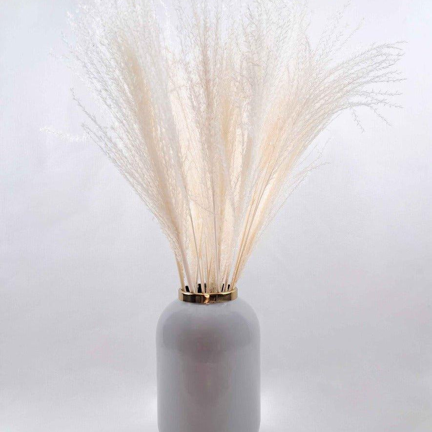 getrockneter Federgras (Miscanthus) in weiß - somedayz