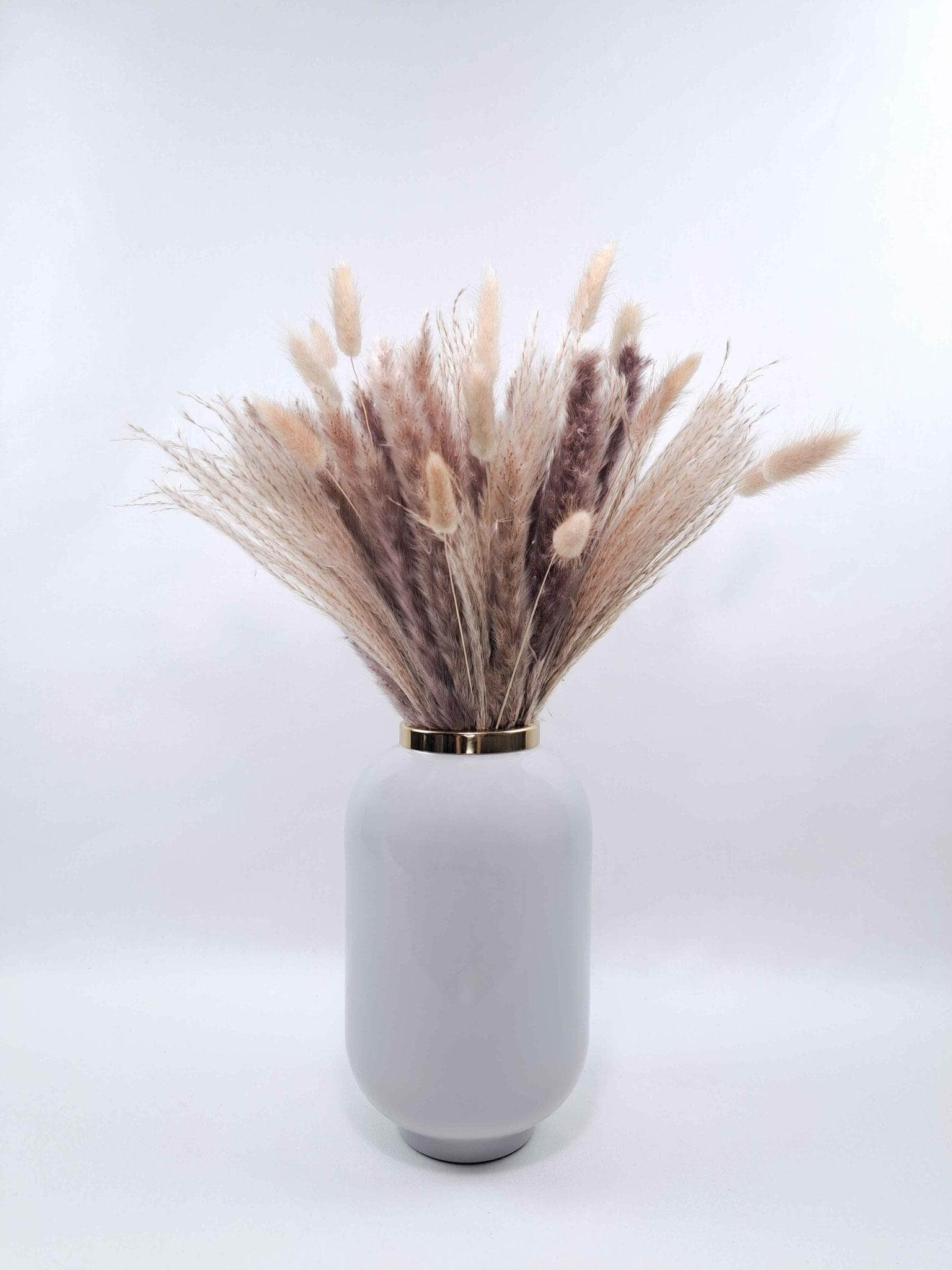 Pampasgras medium | Trockenblumen kaufen