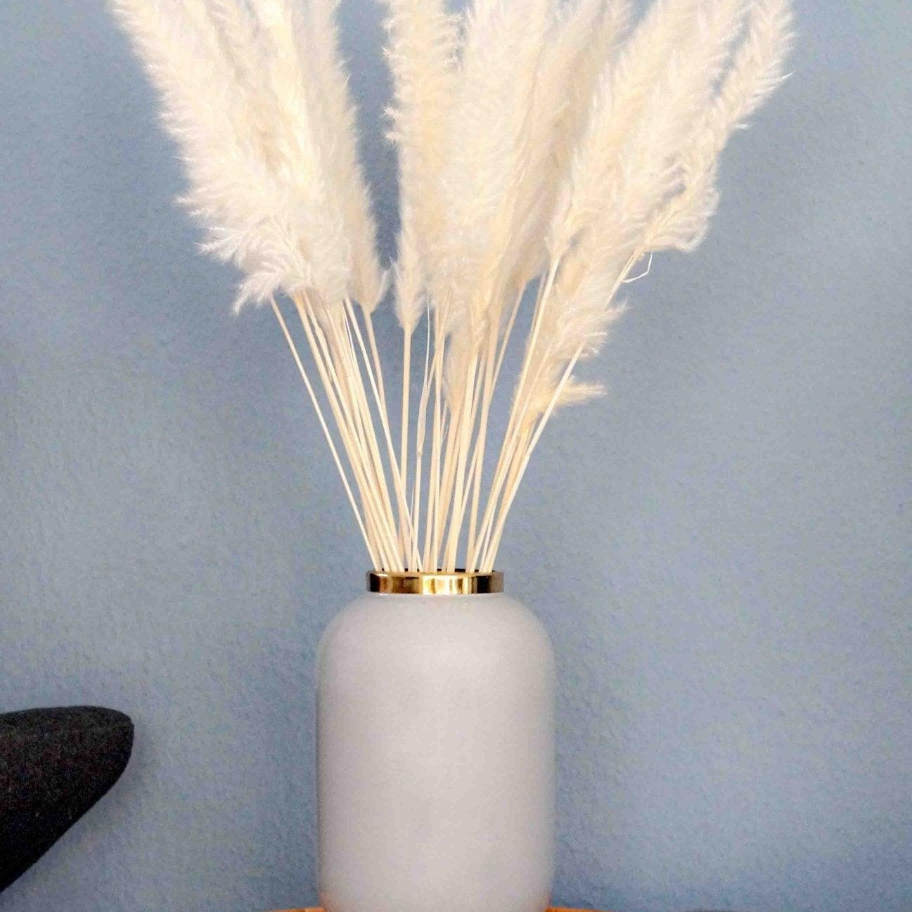 Getrocknetes Pampasgras mini fluffy in creme weiß - somedayz