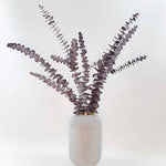 Trockenblume Eukalyptus Cinerea Rot - Mein Shop