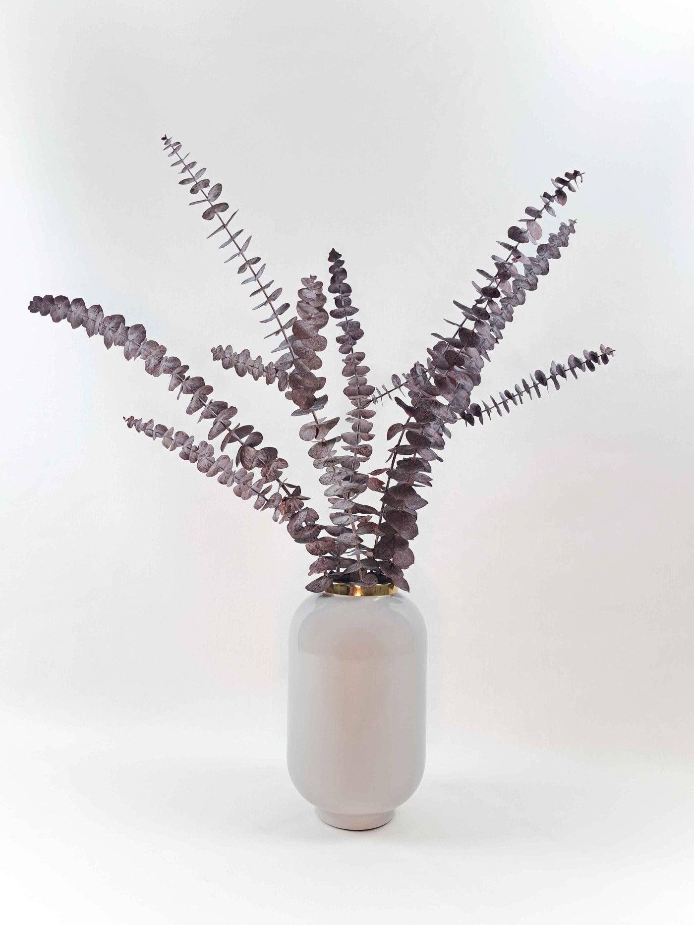 Trockenblume Eukalyptus Cinerea Rot - Mein Shop