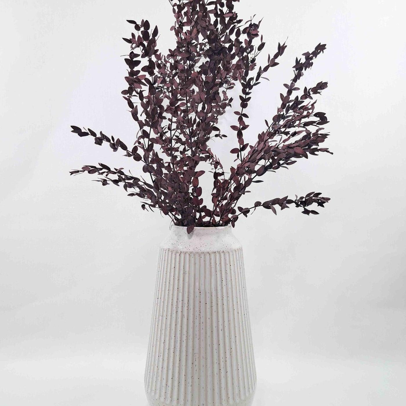 Trockenblume Eukalyptus Parvifolia rot - Mein Shop