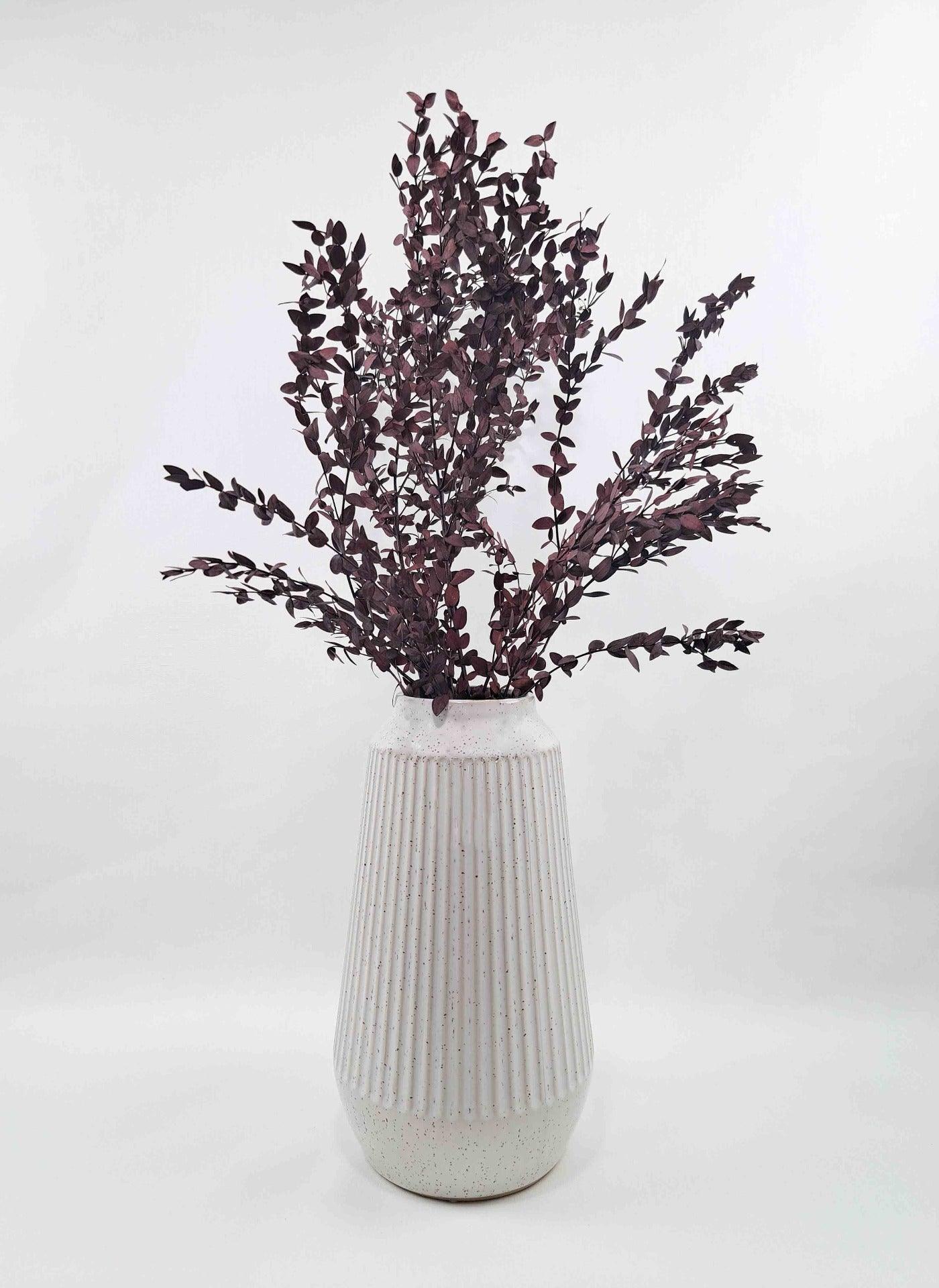 Trockenblume Eukalyptus Parvifolia rot - Mein Shop