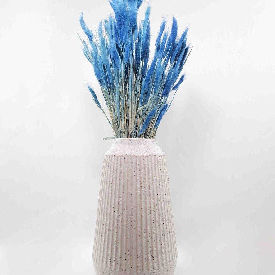 Trockenblume Lagurus blau - somedayz