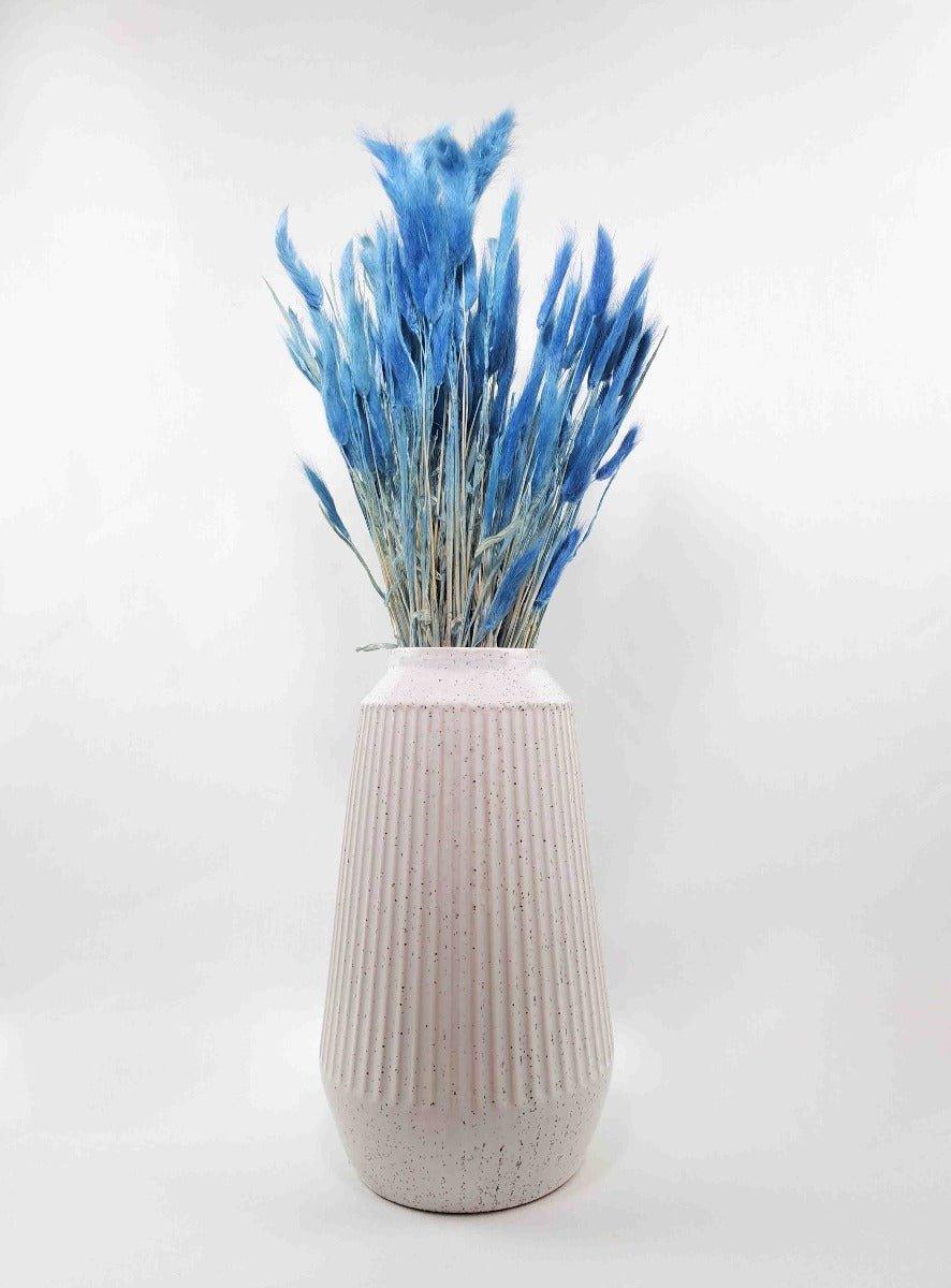 Trockenblume Lagurus blau | Trockenblumen