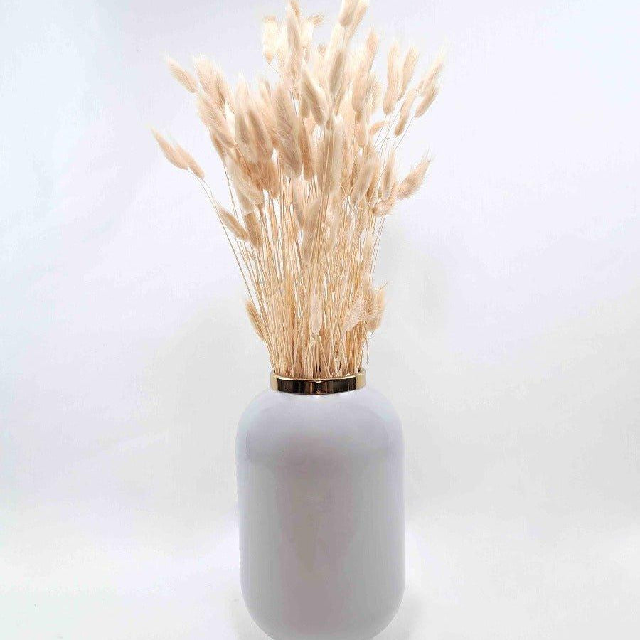 Trockenblume Lagurus creme weiß - somedayz