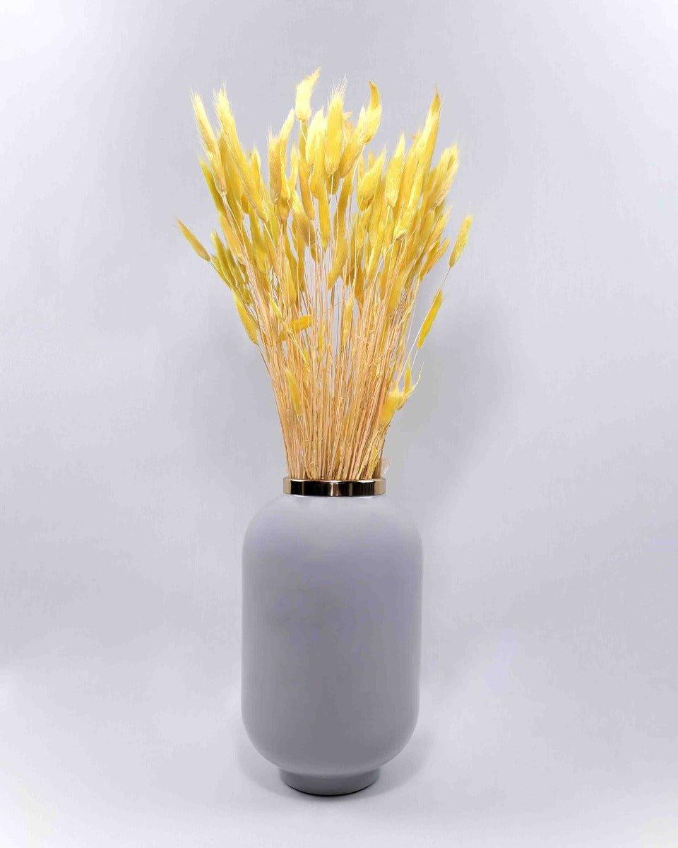 Trockenblume Lagurus gelb | Trockenblumen