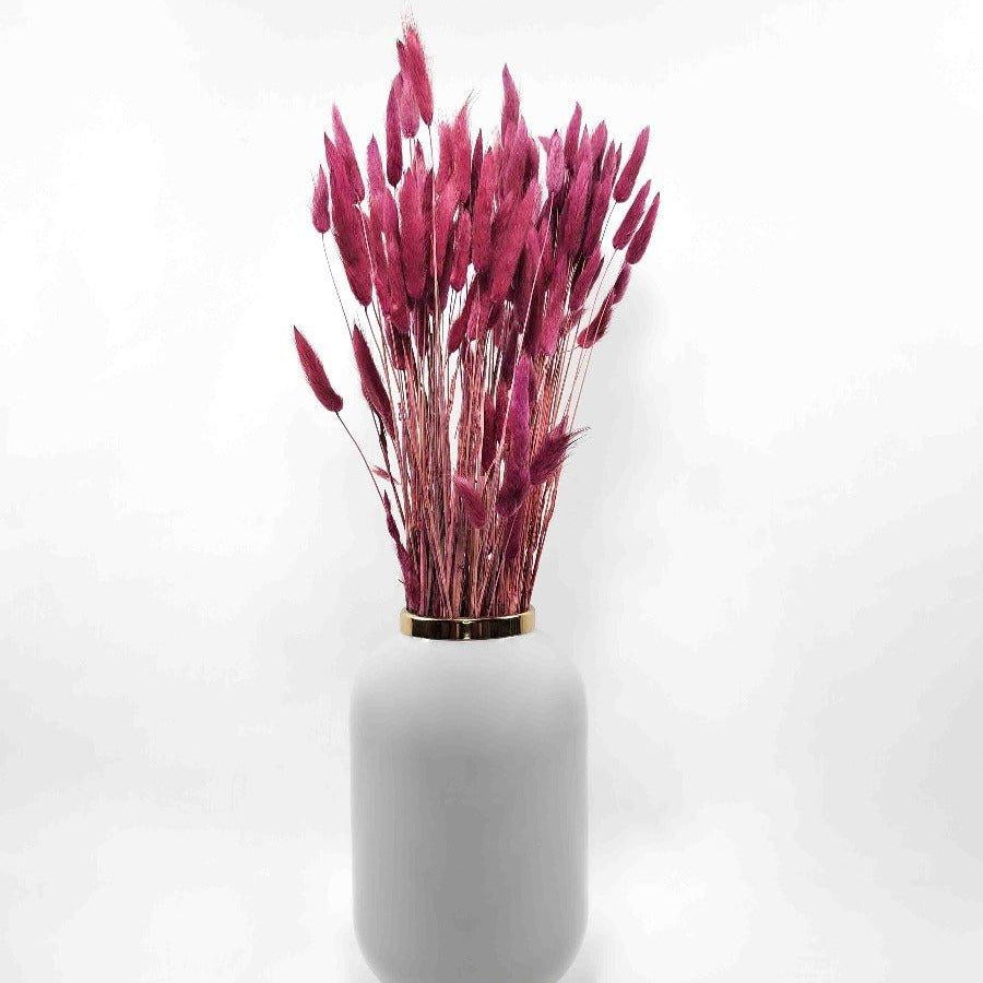 Trockenblume Lagurus in burgund - somedayz