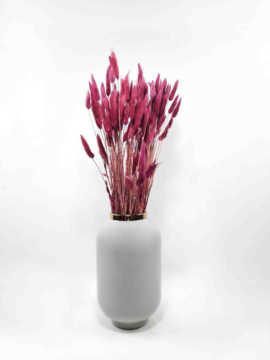 Trockenblume Lagurus burgund | Trockenblumen