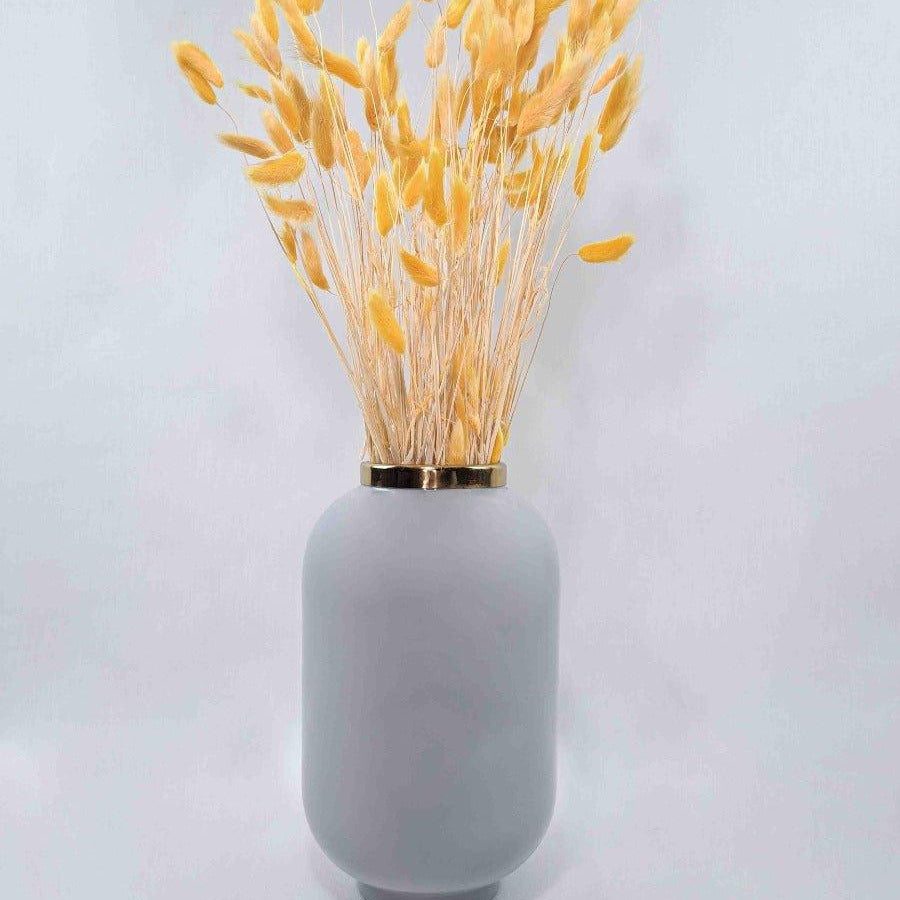 Trockenblume Lagurus in orange - somedayz