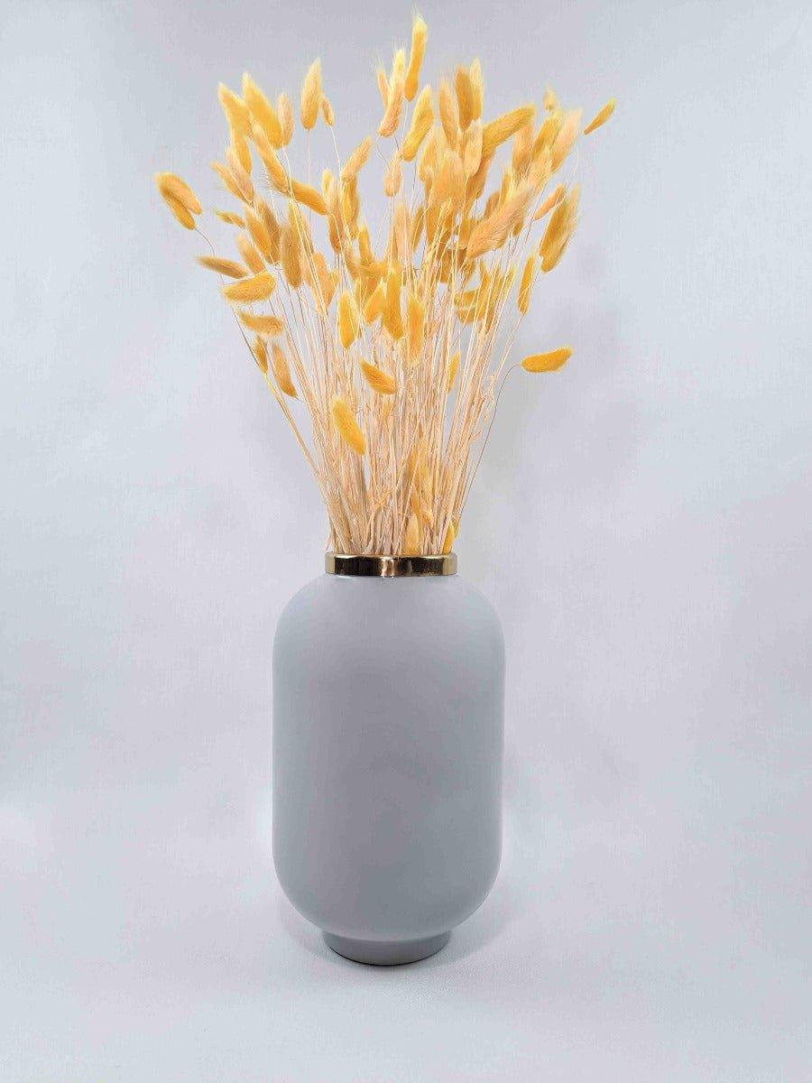 Trockenblume Lagurus orange | Trockenblumen