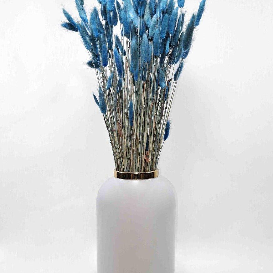 Trockenblume Lagurus in pastell dunkelblau - somedayz