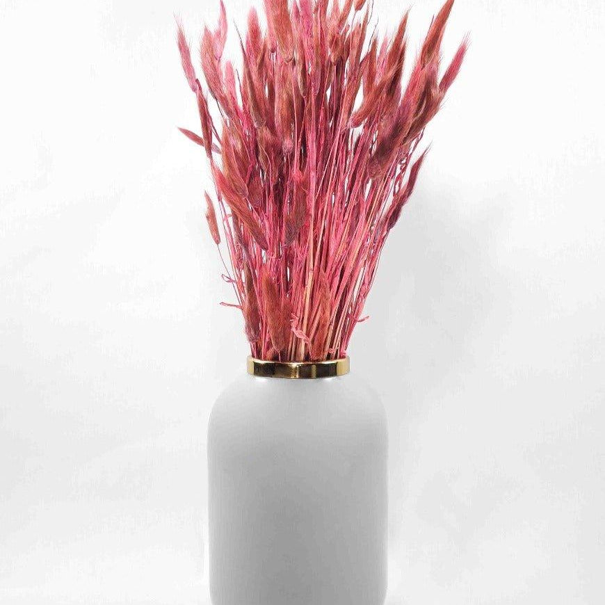 Trockenblume Lagurus in pastell dunkelrosa - somedayz