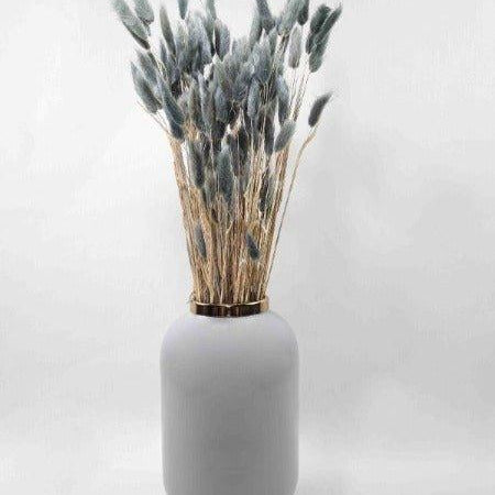 Trockenblume Lagurus in silbergrau - somedayz