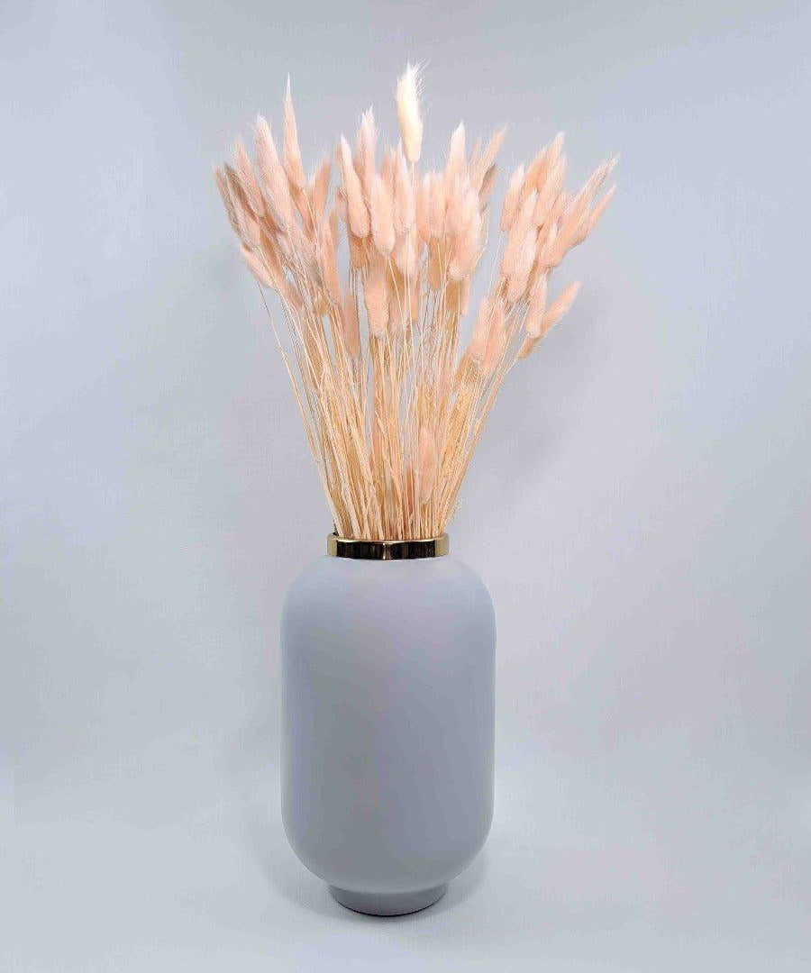 Trockenblume Lagurus in zartrosa - somedayz