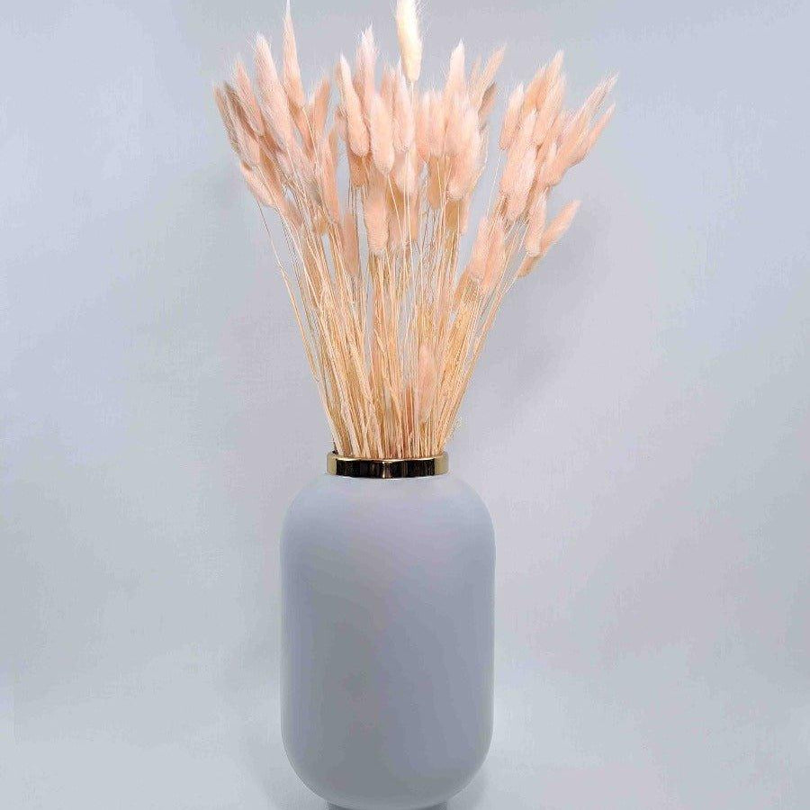 Trockenblume Lagurus in zartrosa - somedayz