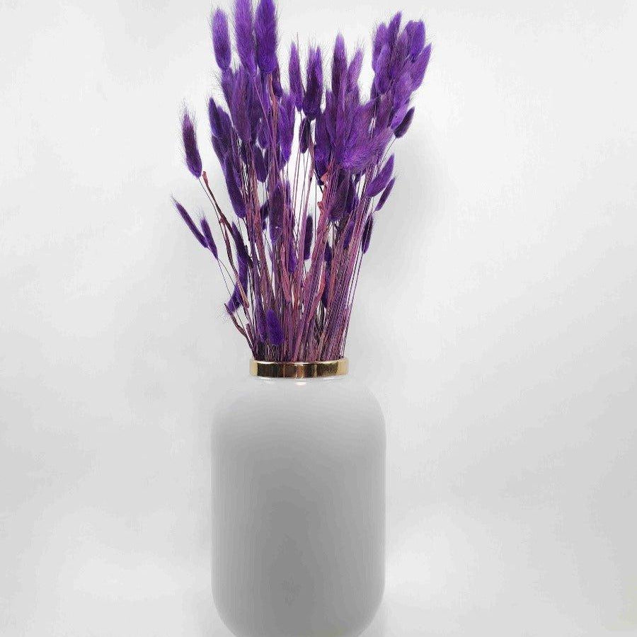 Trockenblume Lagurus lila - somedayz