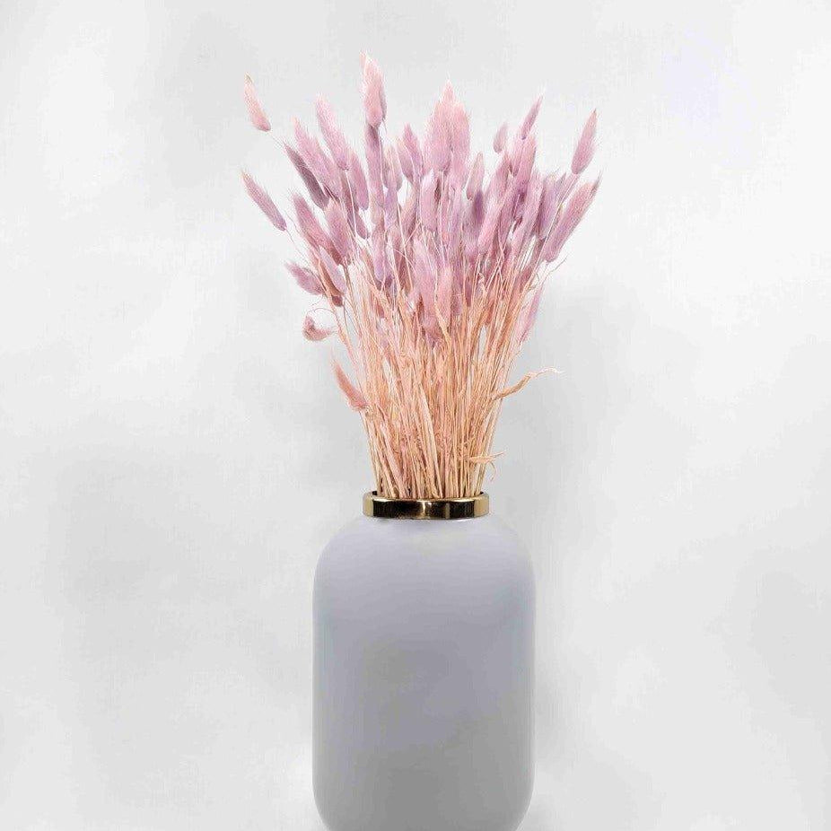 Trockenblume Lagurus pastell rose - somedayz