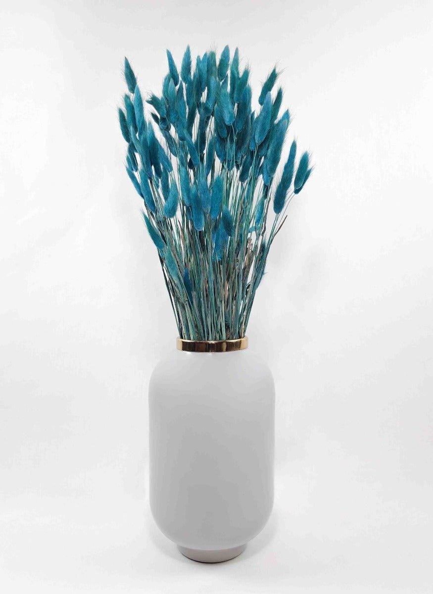 Trockenblume Lagurus petrolblau | Trockenblumen