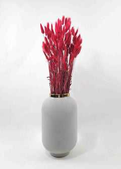Trockenblume Lagurus rot - somedayz