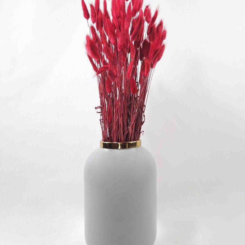 Trockenblume Lagurus rot - somedayz