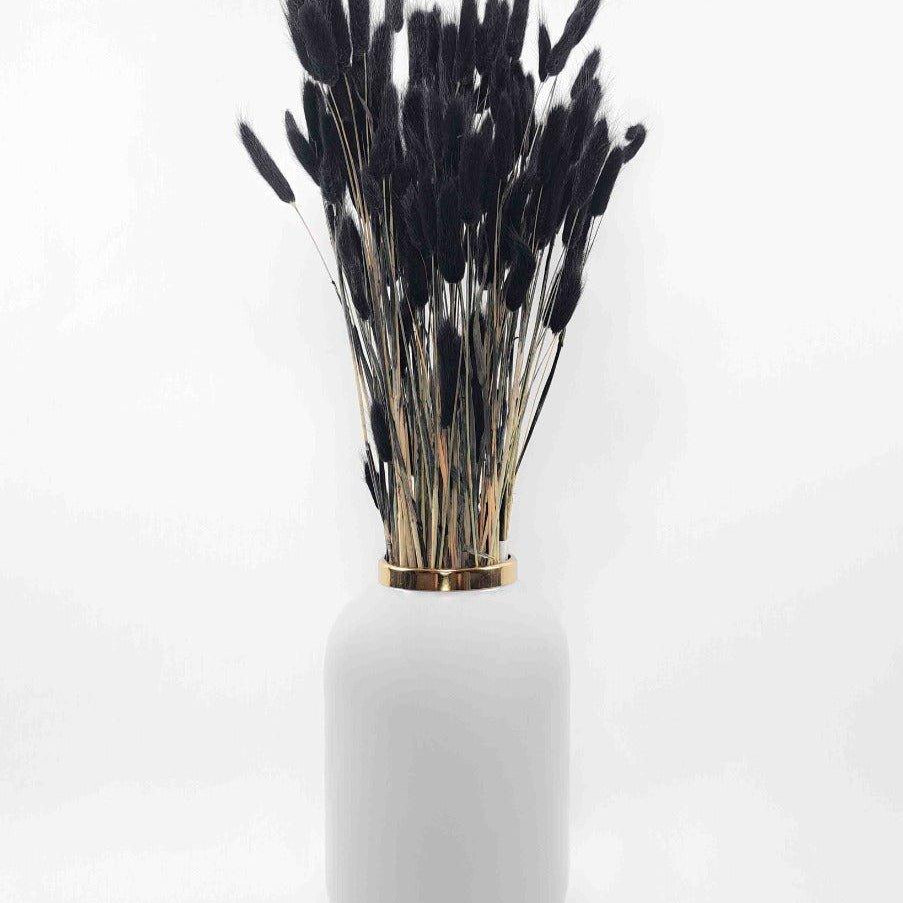 Trockenblume Lagurus schwarz - somedayz