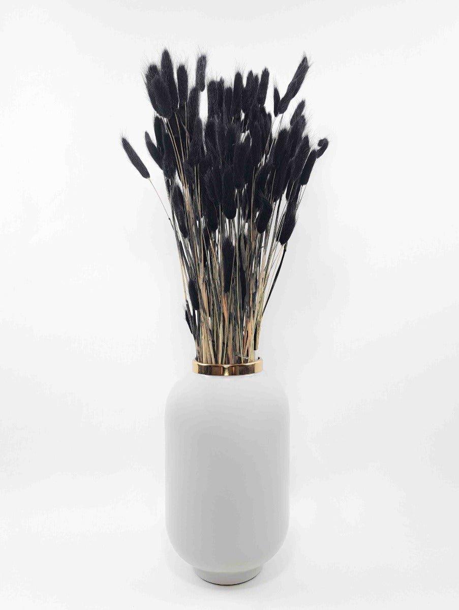 Trockenblume Lagurus schwarz | Trockenblumen