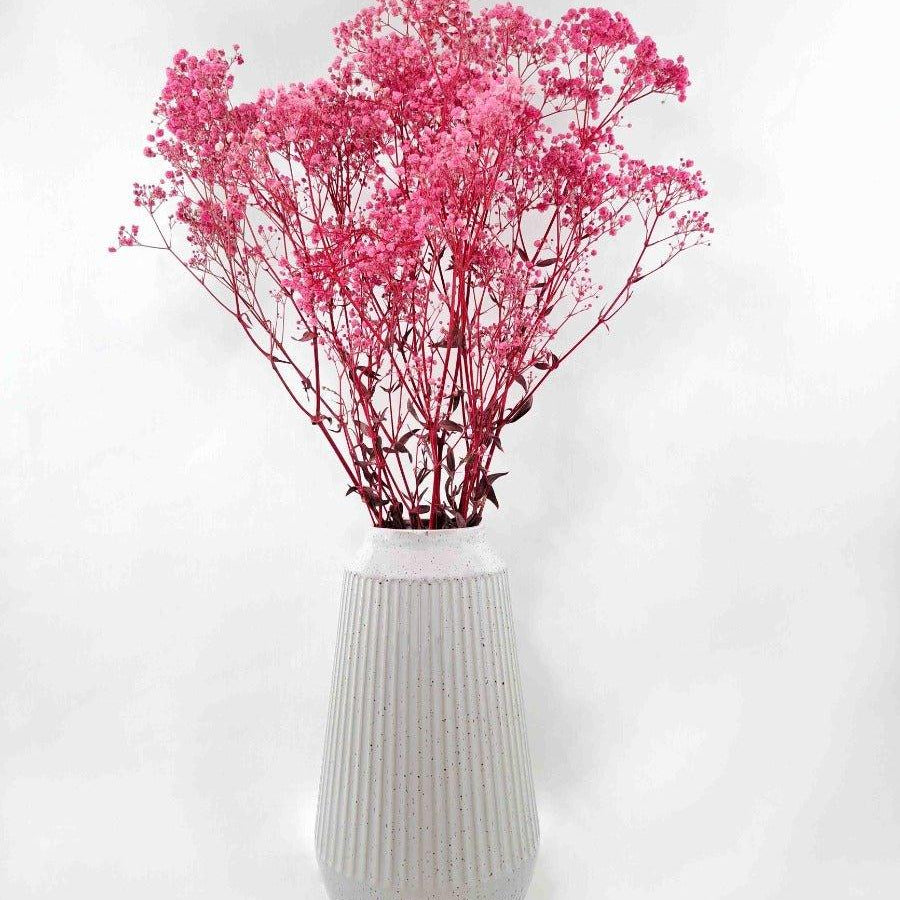 Trockenblume Schleierkraut rosa - somedayz