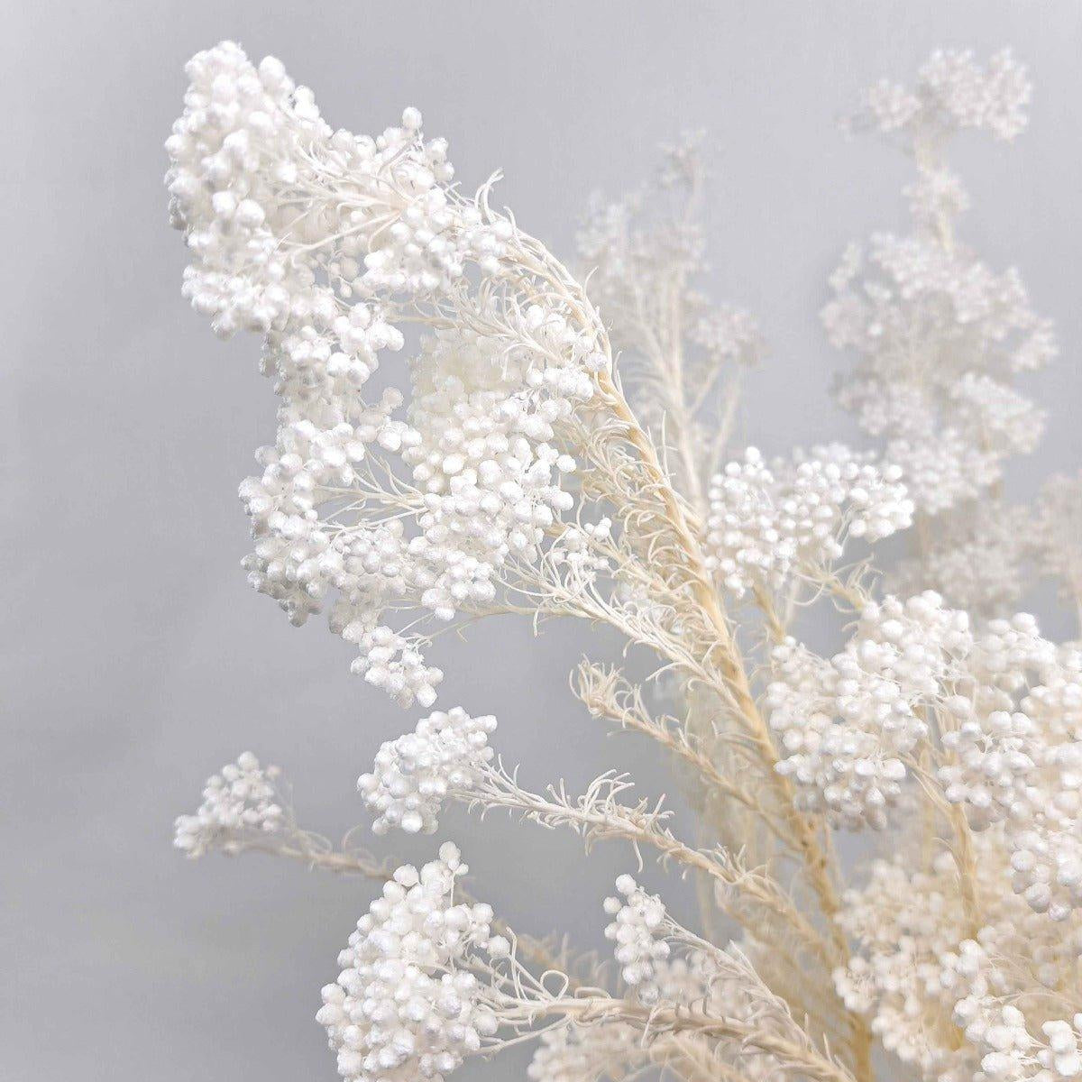 Trockenblumenstrauß Reisblume - Mein Shop